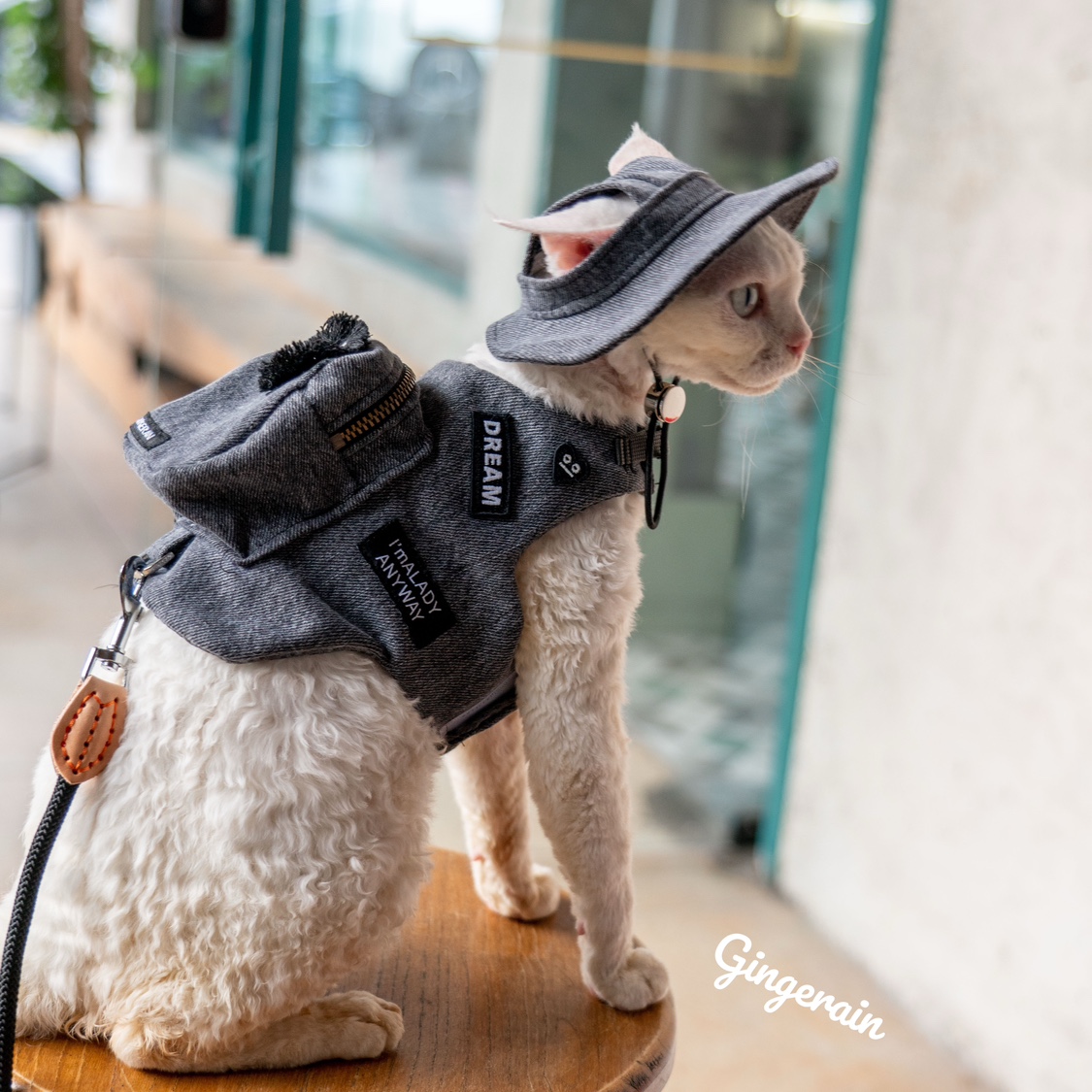 Luxury Bags Cute - 手作りの猫のトラベルキャリア,黒いスナックバッグ,かわいいペットのバックパック,猫のためのハーネス,カタパント,sphynx,devon rex,かわいい